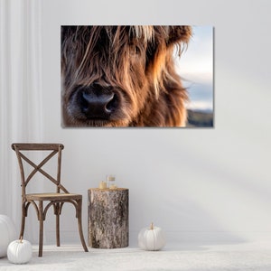 Highland Cow Canvas Art | Rustic Farmhouse Wall Decor | Highland Cow Art Prints