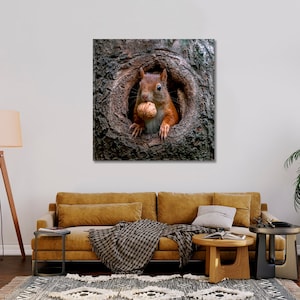Red Squirrel Photograph Printed on Canvas for Home Wall Decoration
