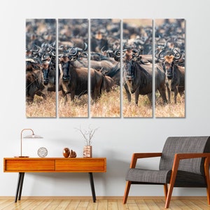 Puede incluir: Una gran manada de ñus marrones se encuentran juntos en un campo de hierba alta. Los ñus están mirando a la cámara y sus cuernos son visibles. La imagen está dividida en cinco secciones.