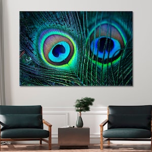 Peacock Feathers Wall Art Peacock Feathers Canvas Print Vivid Wall Decor