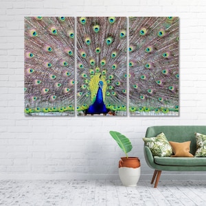 Beautiful Peacock Giclee Print Wall Art Decor Ready to Hang