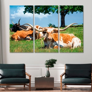 Texas Longhorn Cattle Canvas Print Large Wall Art Framed Art Decor