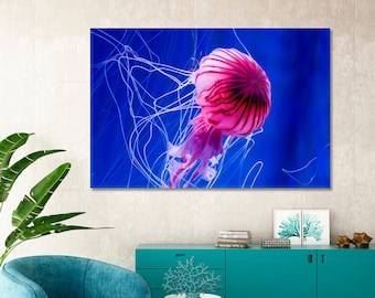 Prachtige kwallenkunst voor thuis | Canvaskunstdruk kwallen | Kleurrijke kwallen wanddecoratie