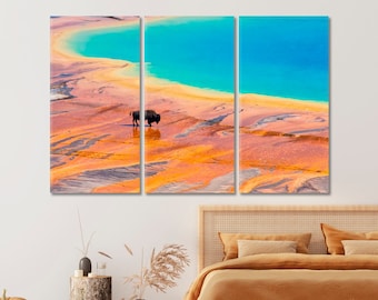 Bison Wall Art, Grand Prismatic Spring Unique Wall Art Decor, Yellowstone National Park, Bison Canvas Prints, Nature Interior Design