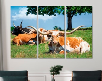 Texas Longhorn Cattle Canvas Print Large Wall Art Framed Art Decor