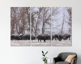 Herd of Bison in Snowfall Man Cave Wall Decor, Bison Canvas Wall Art, American Buffalo Art For Home