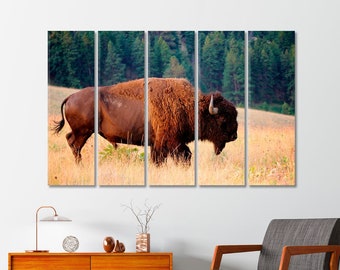 American Bison Or Buffalo Canvas Wall Art Home Decor Stretched and Framed Art Ready to Hang