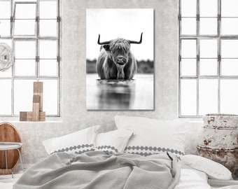Könnte beinhalten: Schwarzweißfoto einer schottischen Hochlandkuh, die in einem Gewässer steht. Die Kuh blickt direkt in die Kamera. Das Foto ist gerahmt und hängt an einer Wand in einem Schlafzimmer.