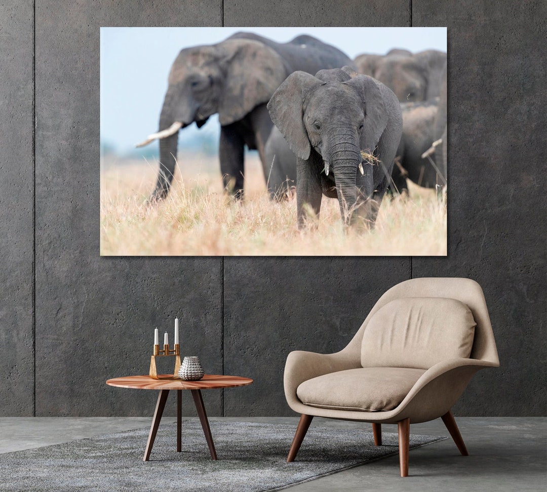 Elephant Canvas Art Print African Animals Modern Wall Decor Wildlife ...