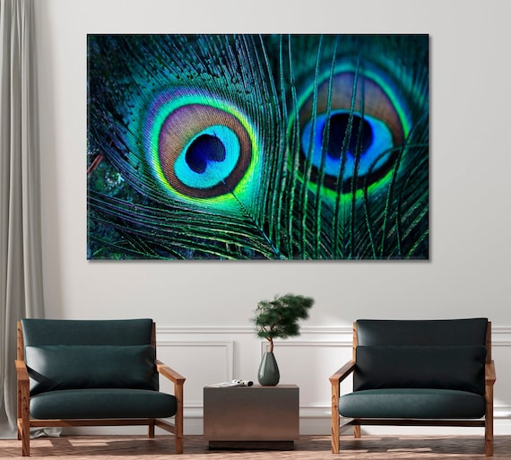 Vivid Peacock Feathers II | Canvas Wall Art | 16x20 | Great Big Canvas