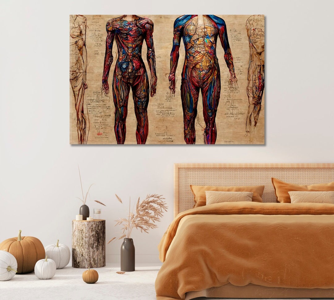 Vintage Human Anatomy Art | Skeleton and Muscles Art Canvas Print ...