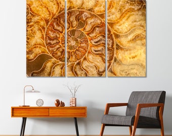 Stampa artistica su tela di conchiglie di ammonite, conchiglie fossili di Nautilus, arte creativa per l'arredamento della stanza