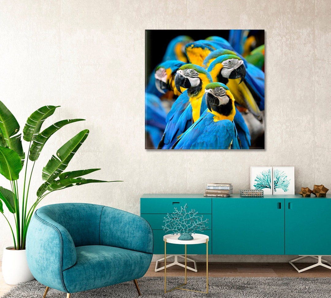 Blue and Gold Macaw Parrot Wall Art Parrot Canvas Wall Decor - Etsy