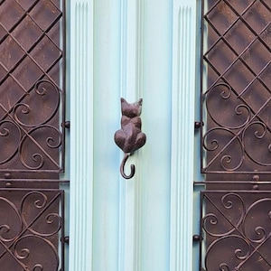 May include: A light blue wooden door with two rectangular windows featuring ornate, dark brown metal grilles. A cat-shaped door knocker is centered on the door. The door has decorative molding and trim.