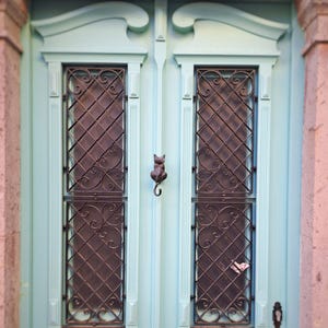 May include: A light blue wooden door with two rectangular windows featuring decorative iron grilles. A cat-shaped door knocker is centered on the door. The door is framed by pink stone columns.
