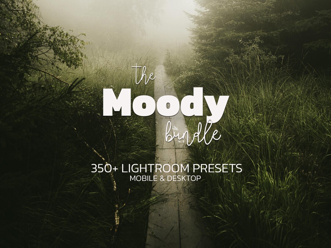 350+ MOODY Lightroom Presets Bundle – Mobile & Desktop – Warm Presets ...