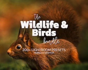 May include: A digital product featuring a brown squirrel with a bushy tail. The text reads: the Wildlife & Birds bundle, 200+ LIGHTROOM PRESETS, MOBILE & DESKTOP. The image displays a high-resolution photograph of the animal in a natural setting.