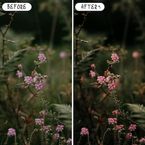 Presets mágicos de cuento de hadas para Lightroom para móviles y ordenadores, presets de retrato con ambiente melancólico, bosque, gótico, paquete de presets oscuros imagen 7