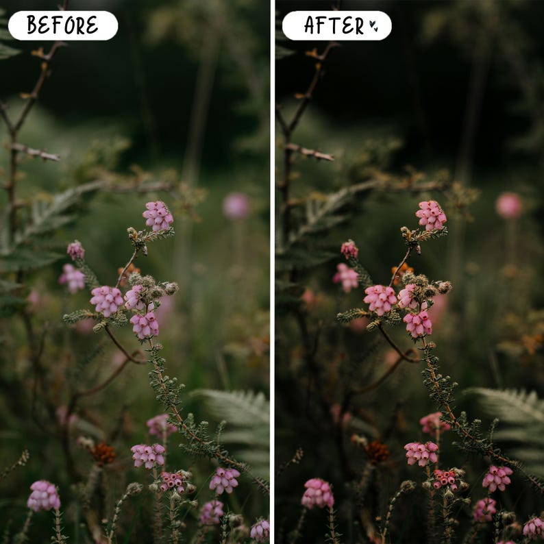 Presets mágicos de cuento de hadas para Lightroom para móviles y ordenadores, presets de retrato con ambiente melancólico, bosque, gótico, paquete de presets oscuros imagen 7