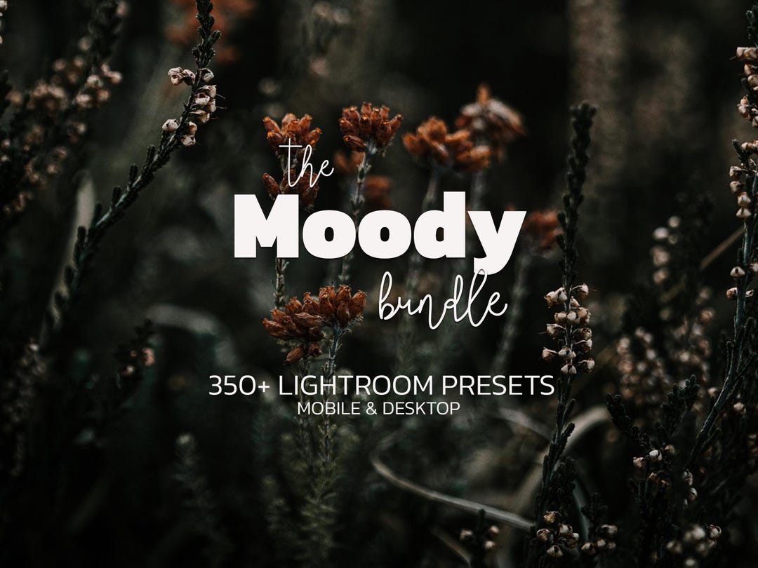 350+ MOODY Lightroom Presets Bundle – Mobile & Desktop – Dark Cinematic ...