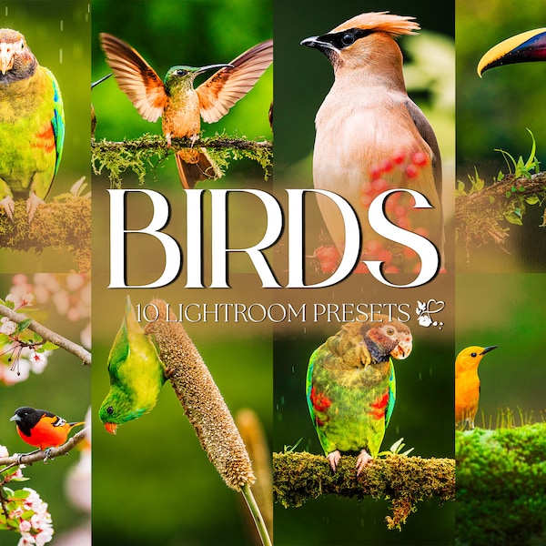 10 BIRDS Mobile LIGHTROOM Presets | Animal Presets | Moody Nature Presets | Moody Presets for Instagram Influencers | Wildlife Photography |