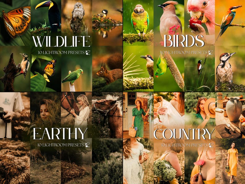 Pode incluir: Uma colagem de imagens com vida selvagem, p&aacute;ssaros e cenas da natureza. A fila superior mostra uma borboleta, um tucano, uma coruja e outros p&aacute;ssaros. A fila do meio inclui um esquilo e um papagaio verde. A fila inferior apresenta pessoas e cavalos. O texto diz "WILDLIFE", "BIRDS", "EARTHY" e "COUNTRY".