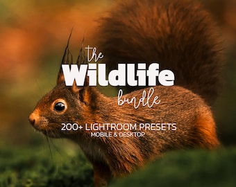 Może przedstawiać: Zbliżenie wiewiórki z czerwonobrązowym futrem na rozmytym zielono-brązowym tle. Tekst "the Wildlife bundle" jest wyświetlany na biało, wraz z "200+ Lightroom Presets" i "Mobile & Desktop".