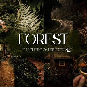 Puede incluir: Un conjunto de 10 ajustes preestablecidos de Lightroom llamados "FOREST" para editar fotos y crear un aspecto melancólico, atmosférico e inspirado en la naturaleza.