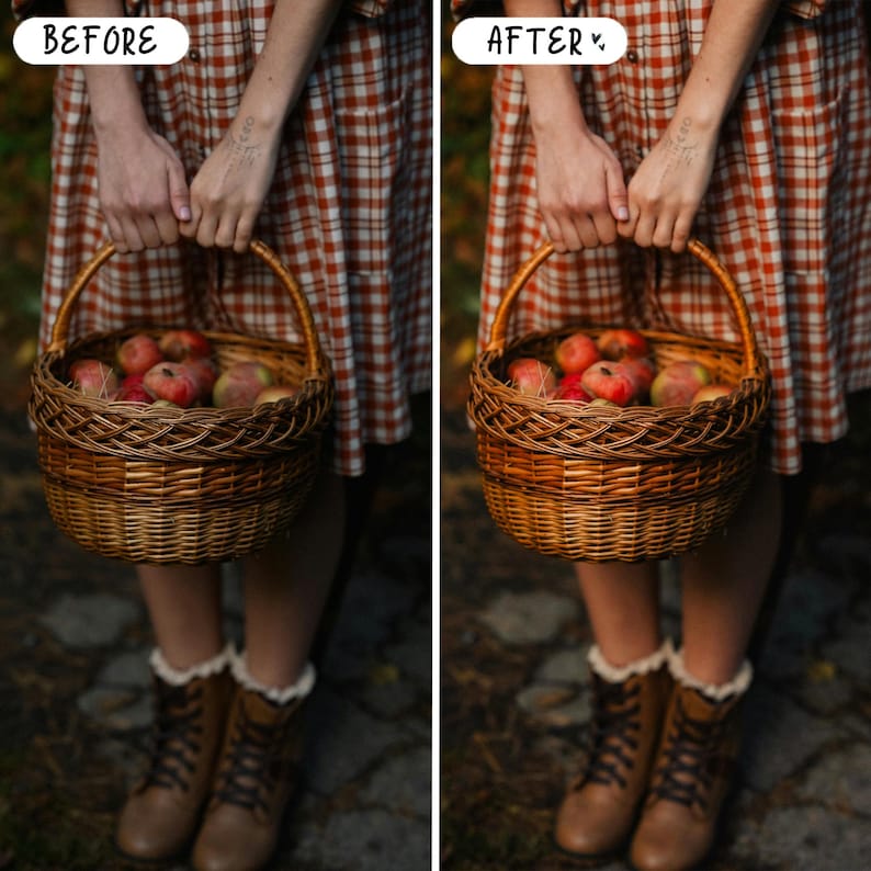 Presets mágicos de cuento de hadas para Lightroom para móviles y ordenadores, presets de retrato con ambiente melancólico, bosque, gótico, paquete de presets oscuros imagen 3