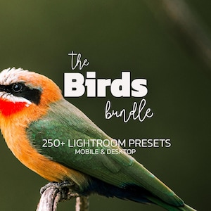 Pode incluir: Um pássaro colorido com plumagem laranja, vermelha, verde e branca empoleirado em um galho. A imagem inclui o texto "the Birds bundle" e "250+ Lightroom Presets Mobile & Desktop" em um fundo verde desfocado.