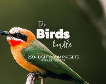 Może przedstawiać: Kolorowy ptak z pomarańczowym, czerwonym, zielonym i białym upierzeniem siedzi na gałęzi. Obraz zawiera tekst "the Birds bundle" i "250+ Lightroom Presets Mobile & Desktop" na rozmytym zielonym tle.