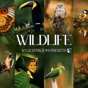 10 Wildlife Lightroom Presets | Mobile & Desktop | Animal, Natural, Bright Airy, Outdoor, Nature | Influencer Blogger | Photo Editing Filter