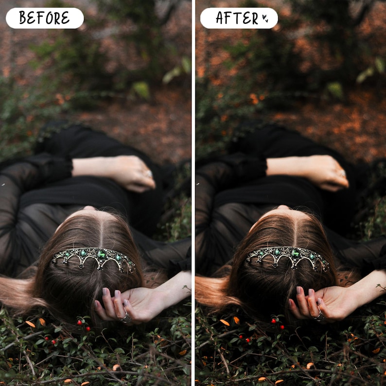 Presets mágicos de cuento de hadas para Lightroom para móviles y ordenadores, presets de retrato con ambiente melancólico, bosque, gótico, paquete de presets oscuros imagen 4
