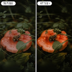 Presets mágicos de cuento de hadas para Lightroom para móviles y ordenadores, presets de retrato con ambiente melancólico, bosque, gótico, paquete de presets oscuros imagen 5