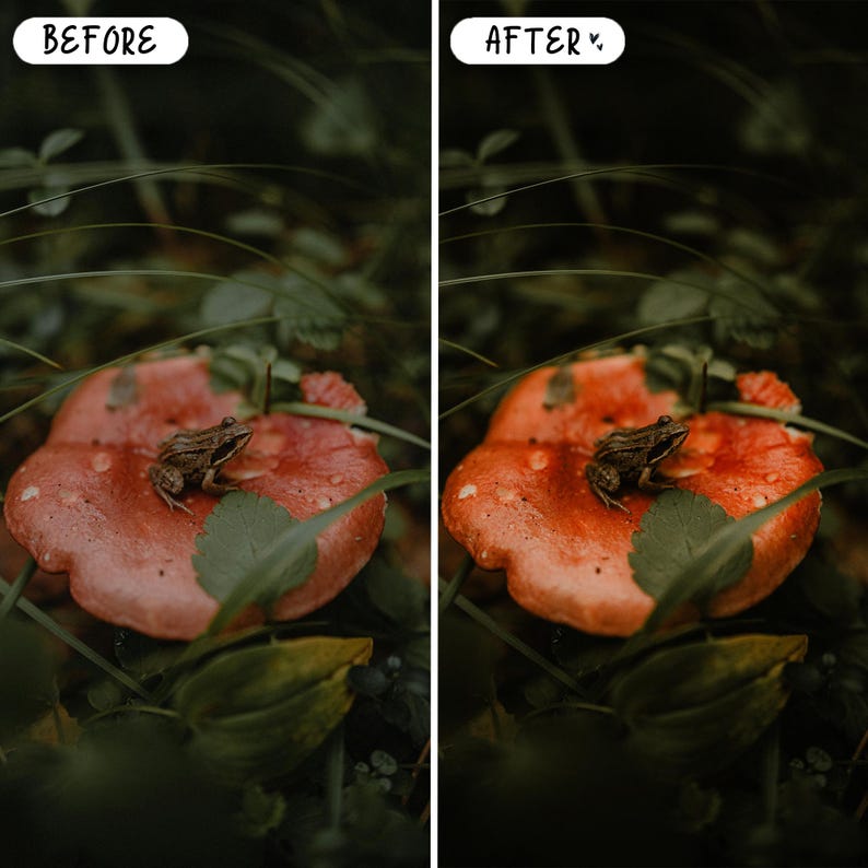 Presets mágicos de cuento de hadas para Lightroom para móviles y ordenadores, presets de retrato con ambiente melancólico, bosque, gótico, paquete de presets oscuros imagen 5
