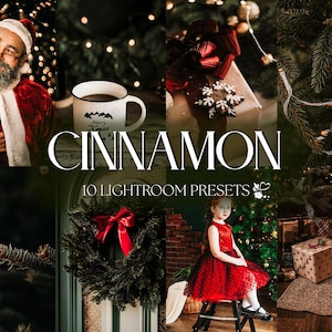 10 Cinnamon Lightroom Presets | Mobile & Desktop | Festive, Holiday, Family, Cozy, Aesthetic | Influencer Lifestyle | Photo Editing Filters