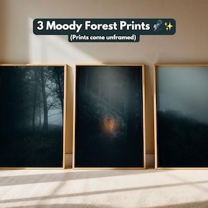 MOODY FOREST PRINT 3er-Set, Wald Wandkunst, Naturdrucke, Fotografie Drucke, Posterdruck, Wohnkultur, Moody Wandkunst, Innenarchitektur