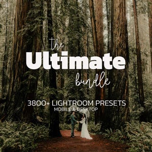 May include: A digital product advertisement featuring a forest scene with two people standing on a path. Text overlays read: The Ultimate bundle, 3800+ LIGHTROOM PRESETS, MOBILE & DESKTOP. The image displays tall redwood trees and lush green ferns.