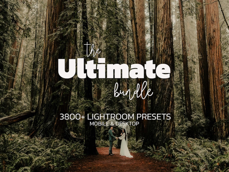 May include: A digital product advertisement featuring a forest scene with two people standing on a path. Text overlays read: The Ultimate bundle, 3800+ LIGHTROOM PRESETS, MOBILE & DESKTOP. The image displays tall redwood trees and lush green ferns.