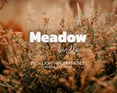 250+ MEADOW Lightroom Presets Bundle – Mobile & Desktop – Warm Presets, Boho Portrait Presets, Natural Preset, Neutral Preset, Earthy Preset