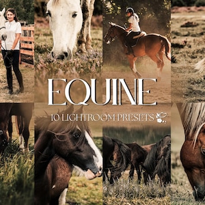 10 Equine Lightroom Presets | Mobile & Desktop | Natural, Earthy, Rustic, Outdoor, Boho, Neutral | Lifestyle Blogger | Photo Editing Filters