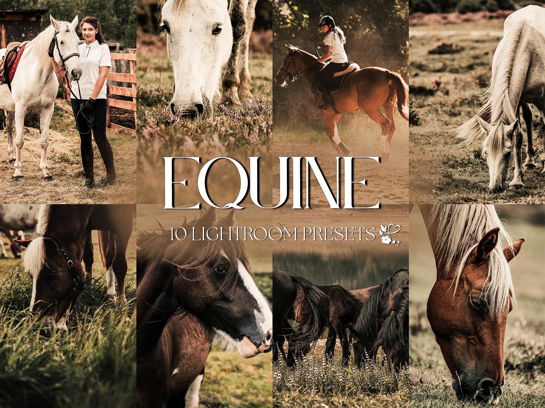 10 Equine Lightroom Presets | Mobile & Desktop | Natural, Earthy, Rustic, Outdoor, Boho, Neutral | Lifestyle Blogger | Photo Editing Filters
