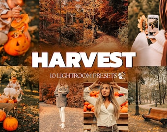 FALL HARVEST Lightroom Presets for Mobile & Desktop, Autumn Portrait Presets, Warm, Cozy, Natural Preset Pack