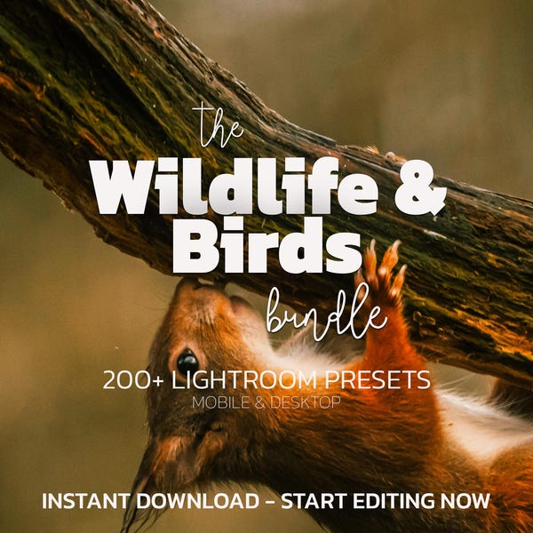 Über 200 Lightroom-Presets für Wildtiere und Vögel – Mobil & Desktop – Natürliche Outdoor-Presets, Dunkle Presets, Helle Presets, Wildtier-Presets