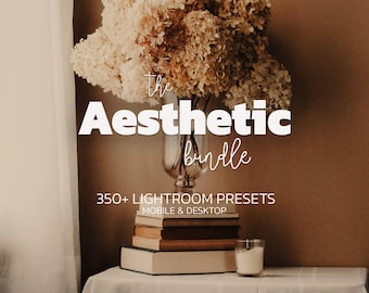 Paquete de más de 350 ajustes preestablecidos estéticos de Lightroom para móviles y escritorios: ajustes preestablecidos para interiores cremosos, ajustes preestablecidos para retratos bohemios, ajustes preestablecidos de lujo cálido y ajustes preestablecidos neutros.