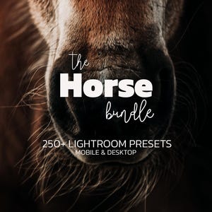 Könnte beinhalten: Nahaufnahme eines Pferdemauls mit dem weißen Text "the Horse bundle". Darunter steht "250+ Lightroom Presets Mobile & Desktop". Das Bild hat eine dunkle, stimmungsvolle Ästhetik mit Braun- und Schwarztönen.