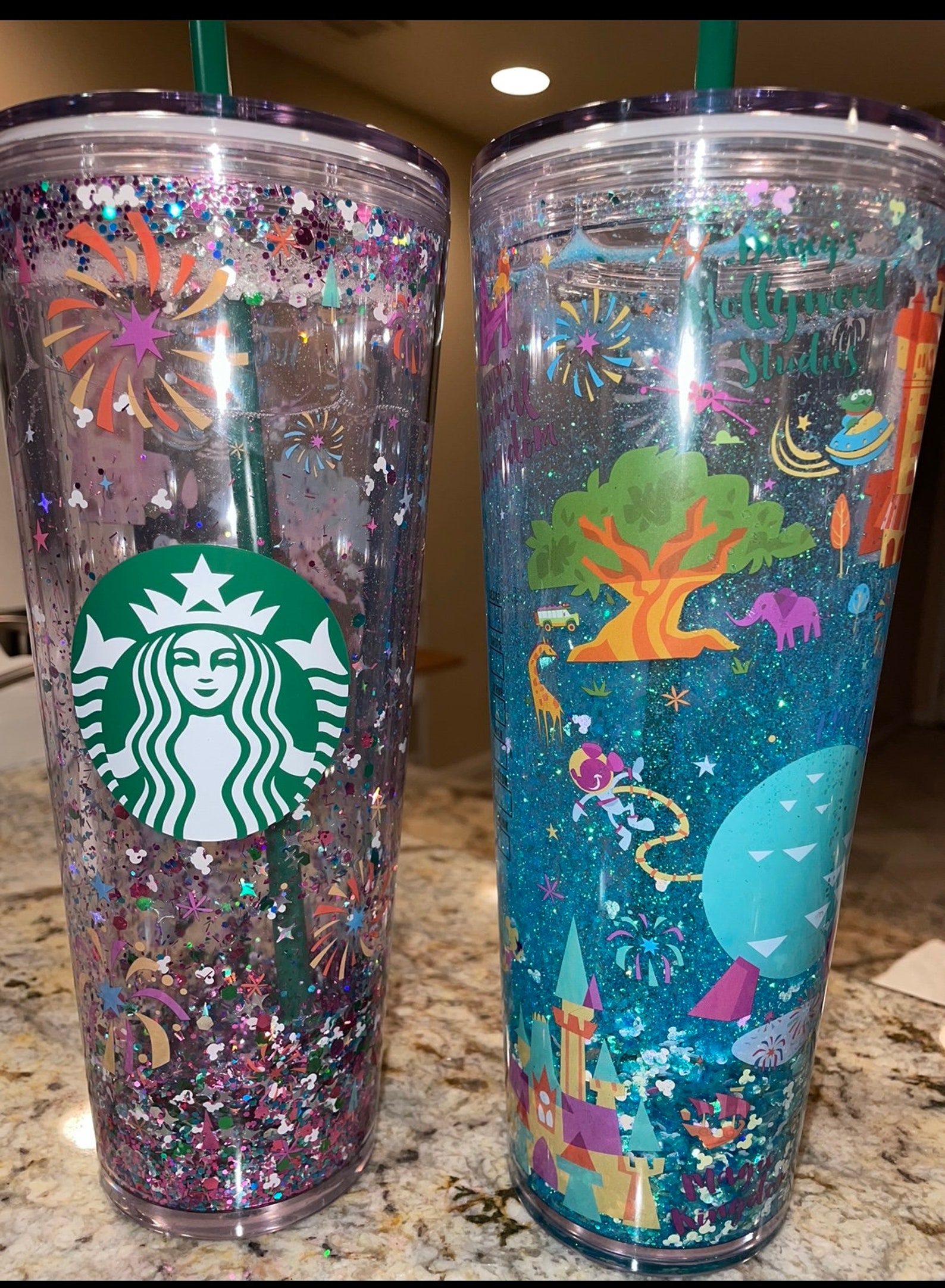 Disney Snowglobe Tumblers Etsy