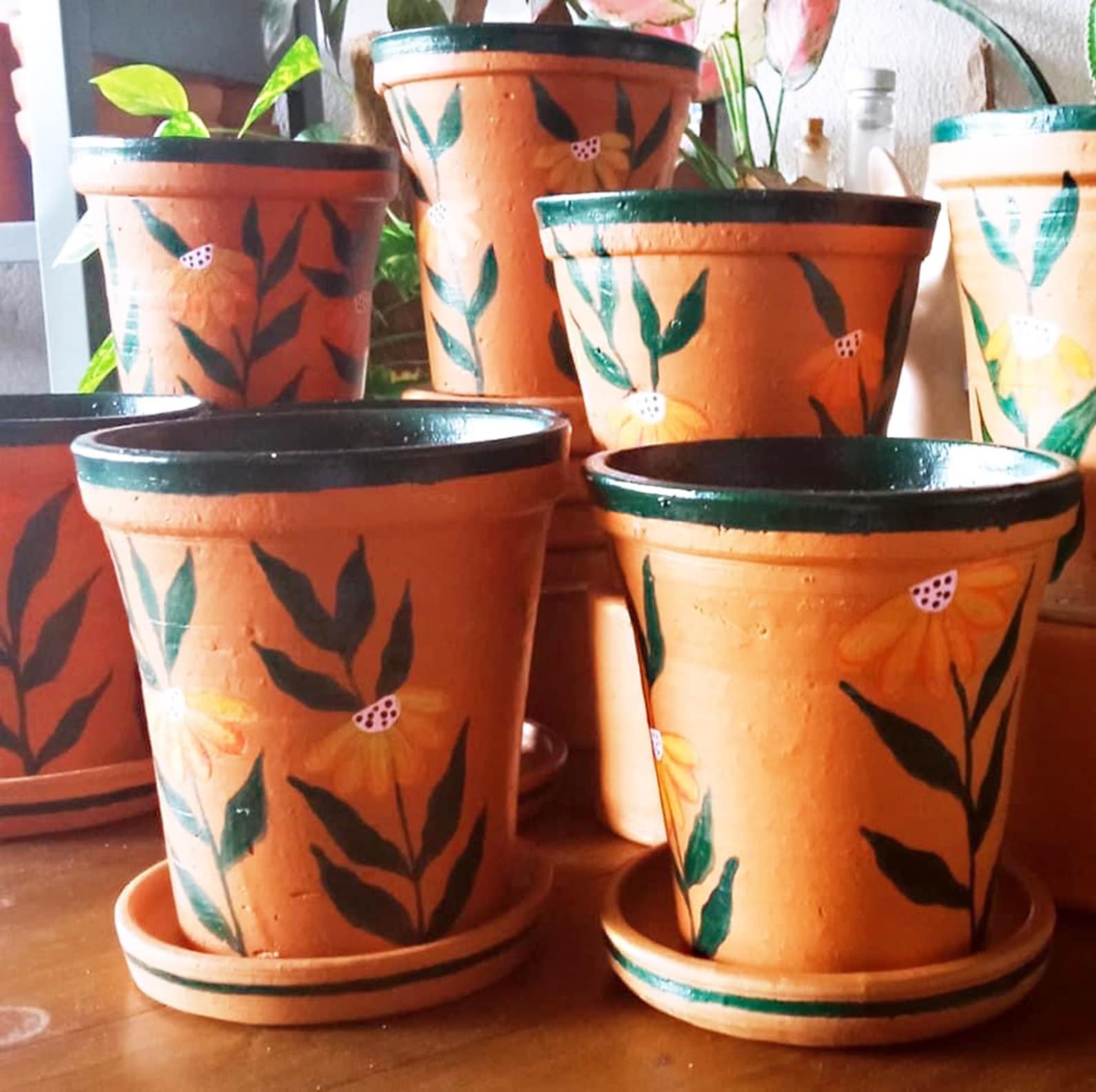 Decorative Terra Cotta Planter pots with Hand paint Green Etsy
