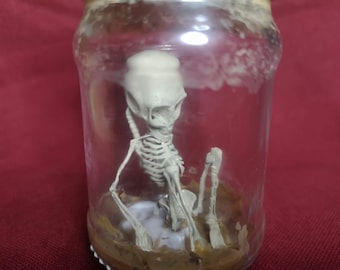 Alien skelett, skelett i burken 3D-utskriftsmodell STL