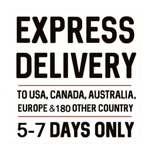 Express Delivery: Rush Order Upgrade